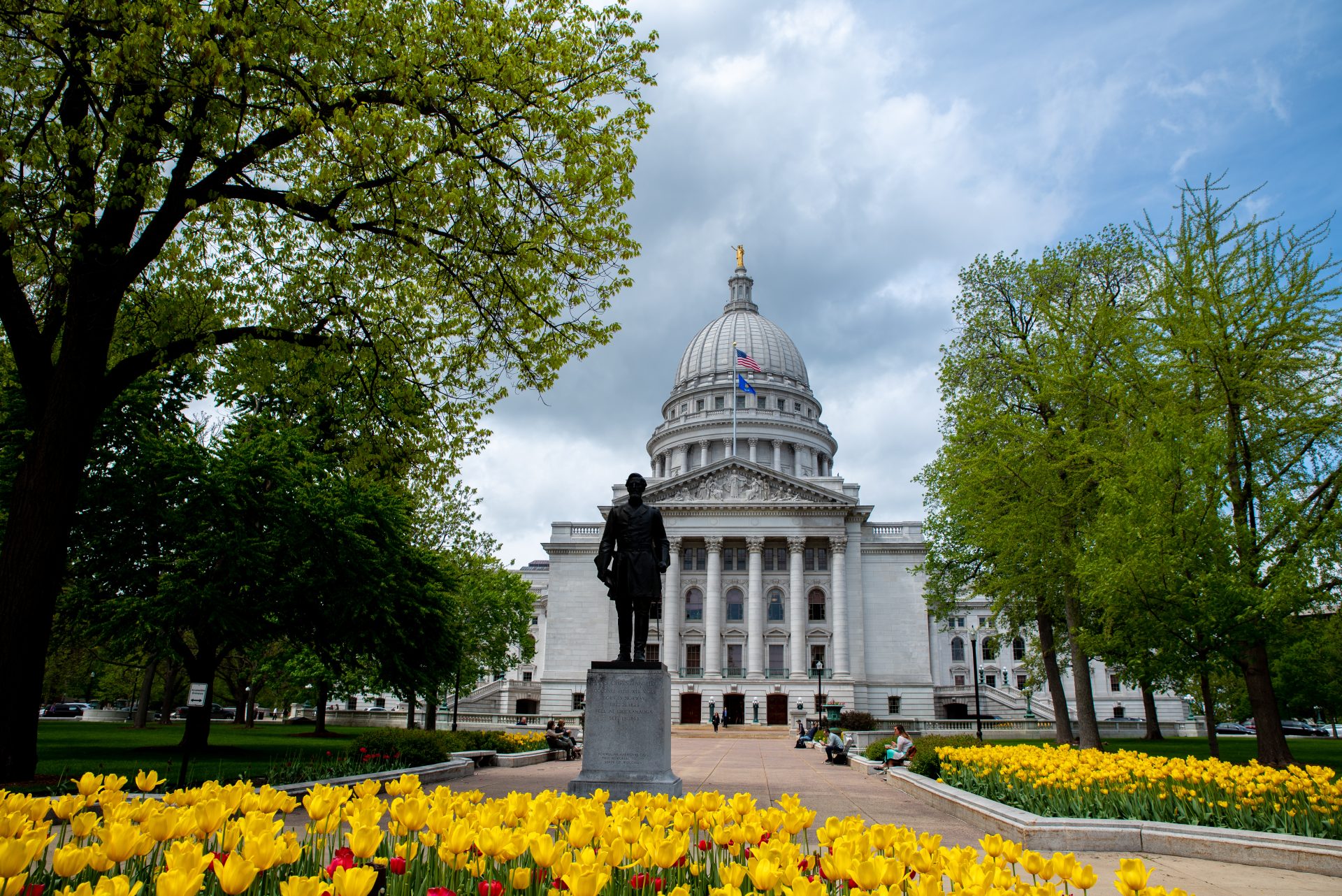 Capitol building with tulips in foreground