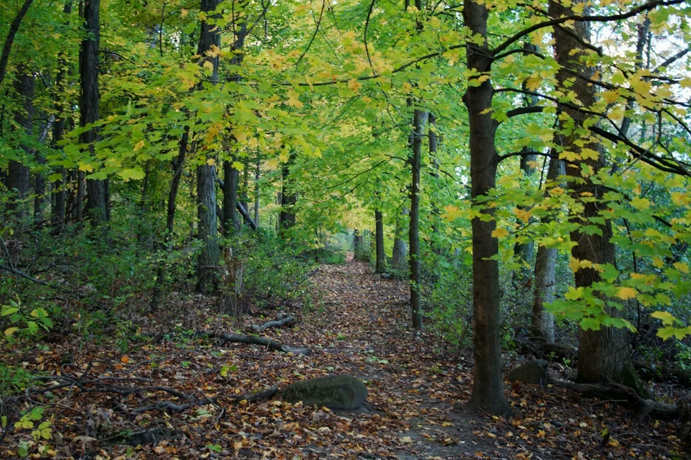 Arboretum Madison Wisconsin 0585