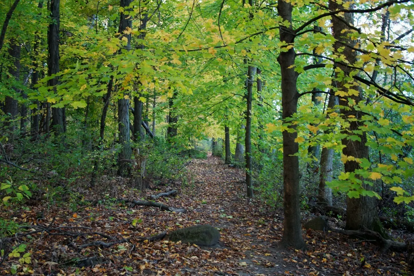 Arboretum Madison Wisconsin 0585